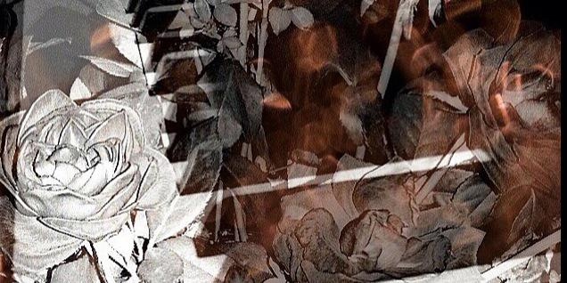 kussielynn's profile banner image