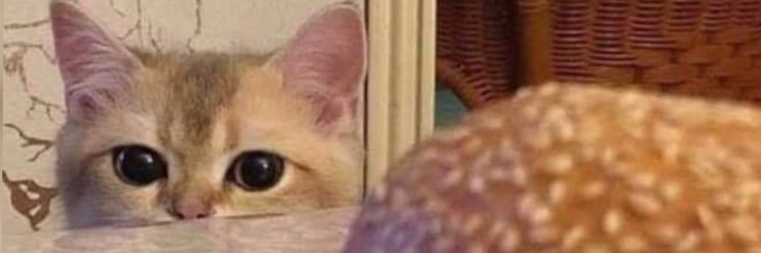 smadur's profile banner image
