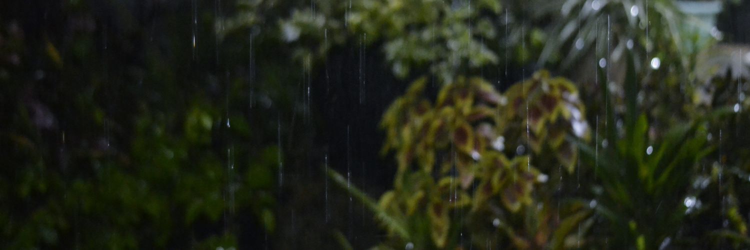 SigitBrantzz's profile banner image