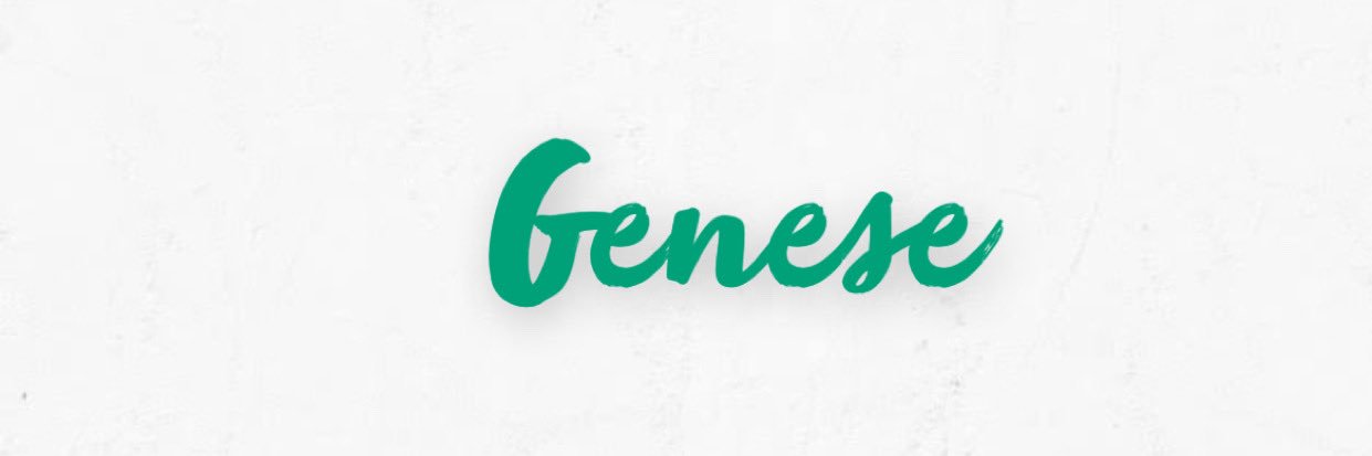 Twitter banner for @MehmedGns