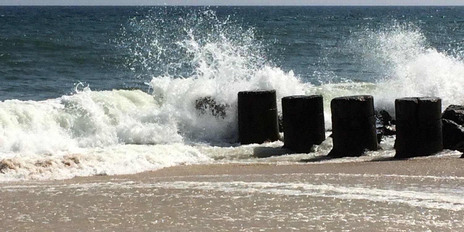 Kristen Picone (she/her) banner