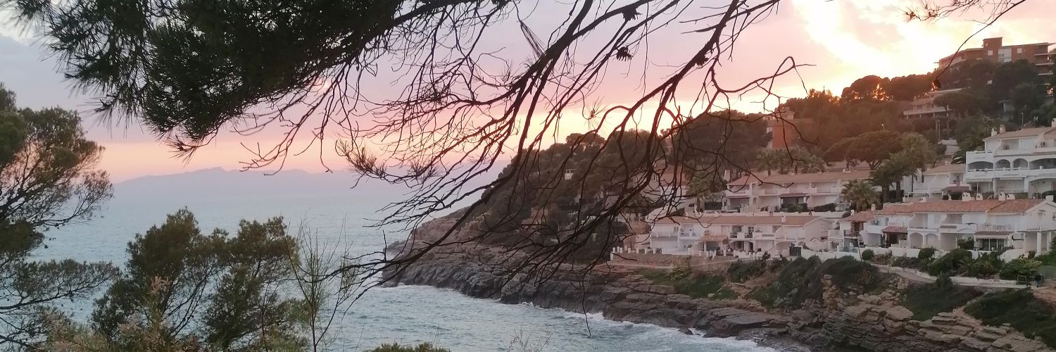 Anaceci68's profile banner image