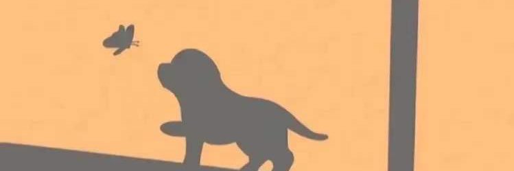 Darcy X banner