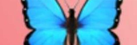 tximeleta77's profile banner image