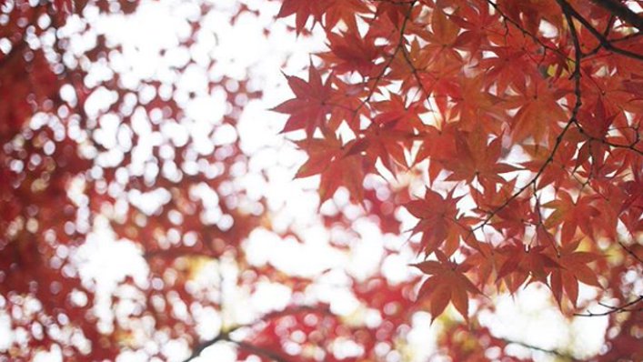 Anisa_Aprilina's profile banner image