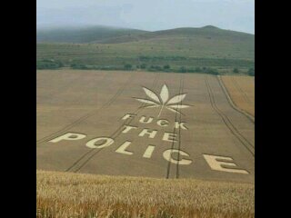 Manyos420's profile banner image