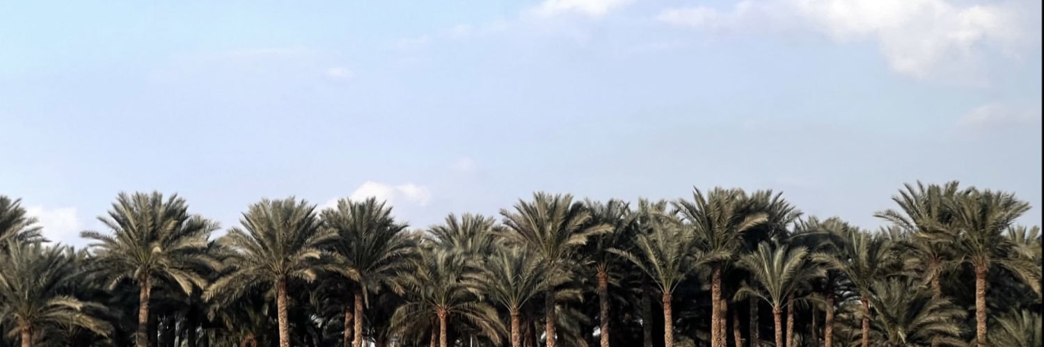 3ain_sein's profile banner image