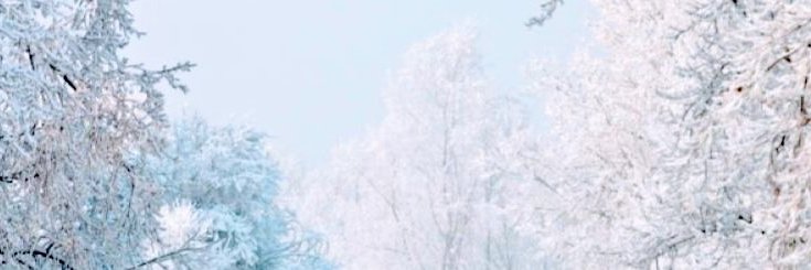RainFallBlossom's profile banner image