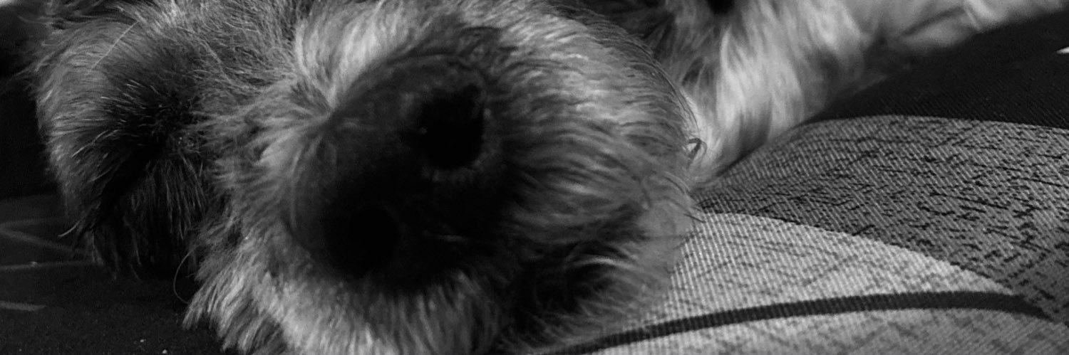 Amii_Ad's profile banner image