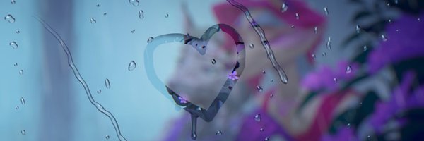 Stupid_Lynx_ Profile Banner