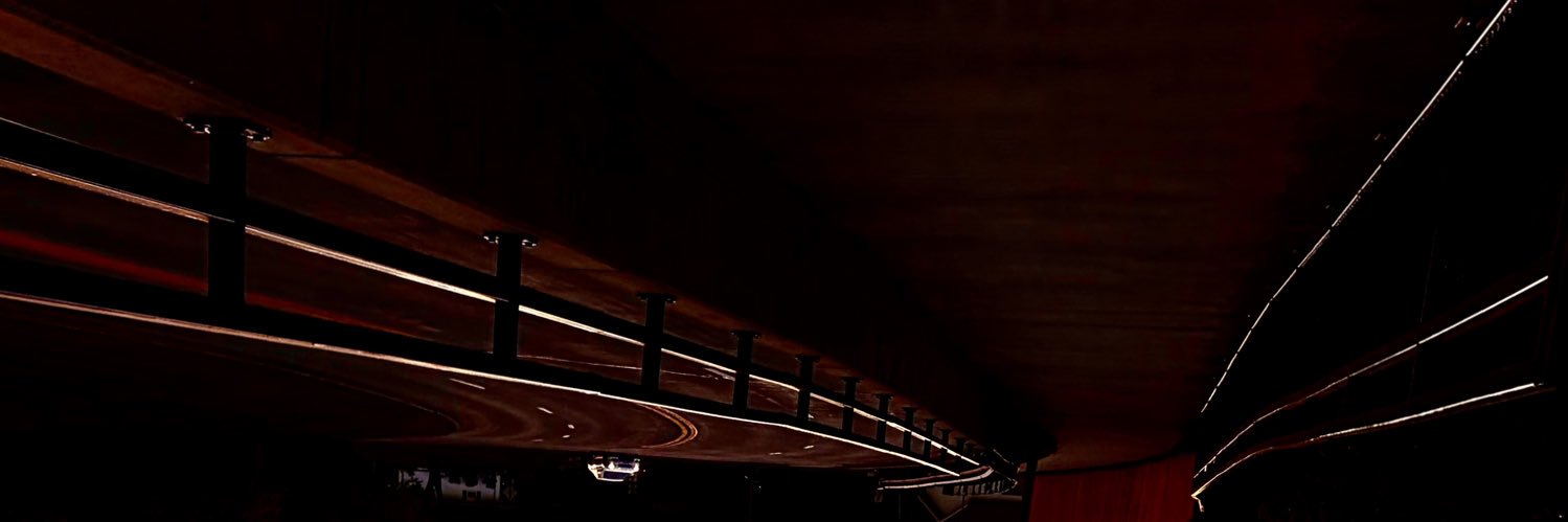 ElonsMuskus's profile banner image