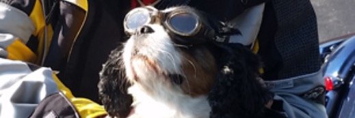 jhowman's profile banner image