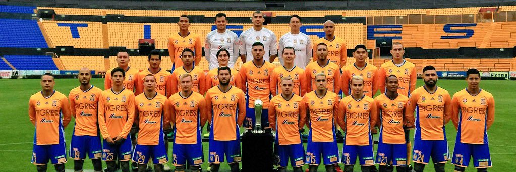 El Tigre Realista banner