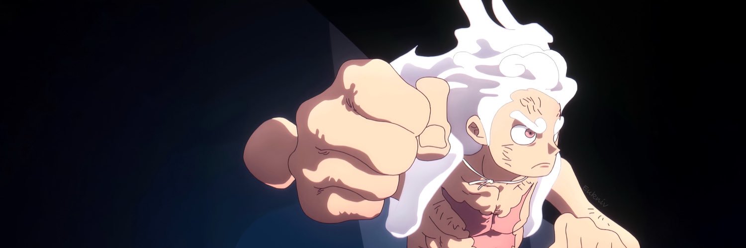 Nico Robin - Die Linke banner