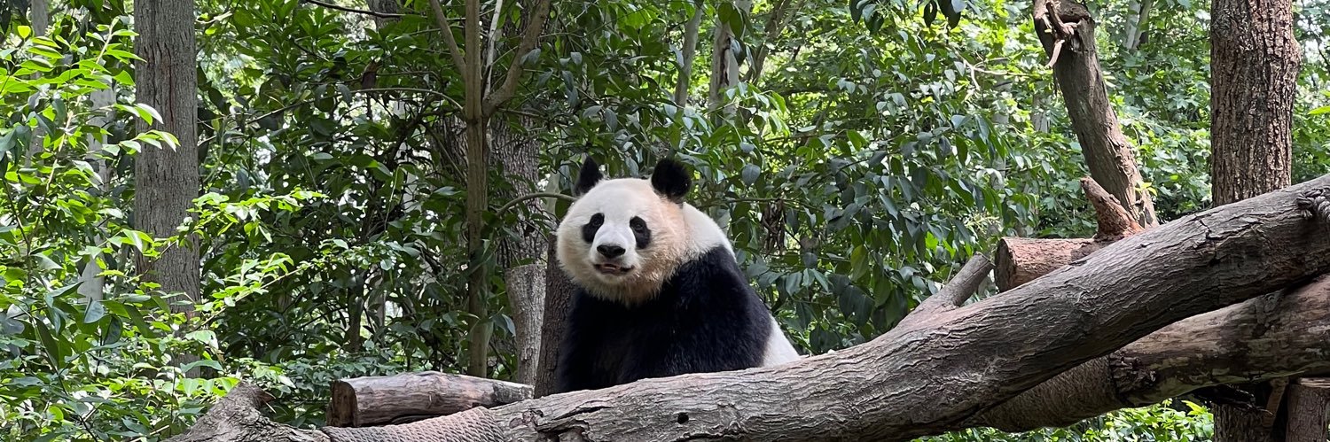 lisi_yi_'s profile banner image