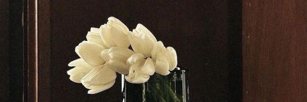 NychaSu Profile Banner
