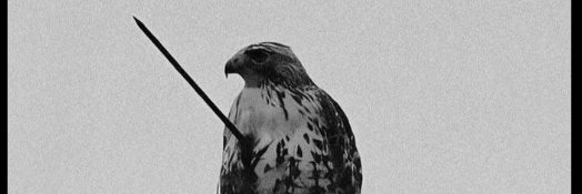 ABH2023go's profile banner image
