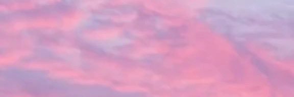 foxwearsdocs's profile banner image