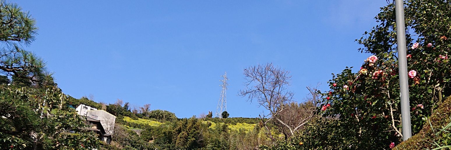 ngn1729's profile banner image