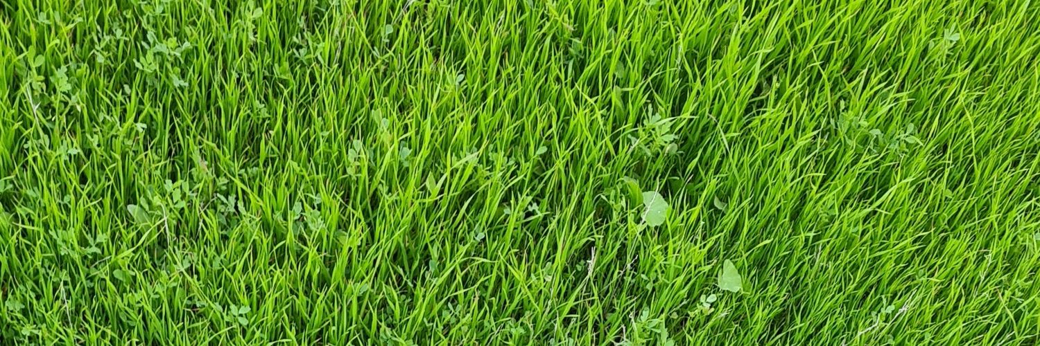 كاسب بن شكر banner