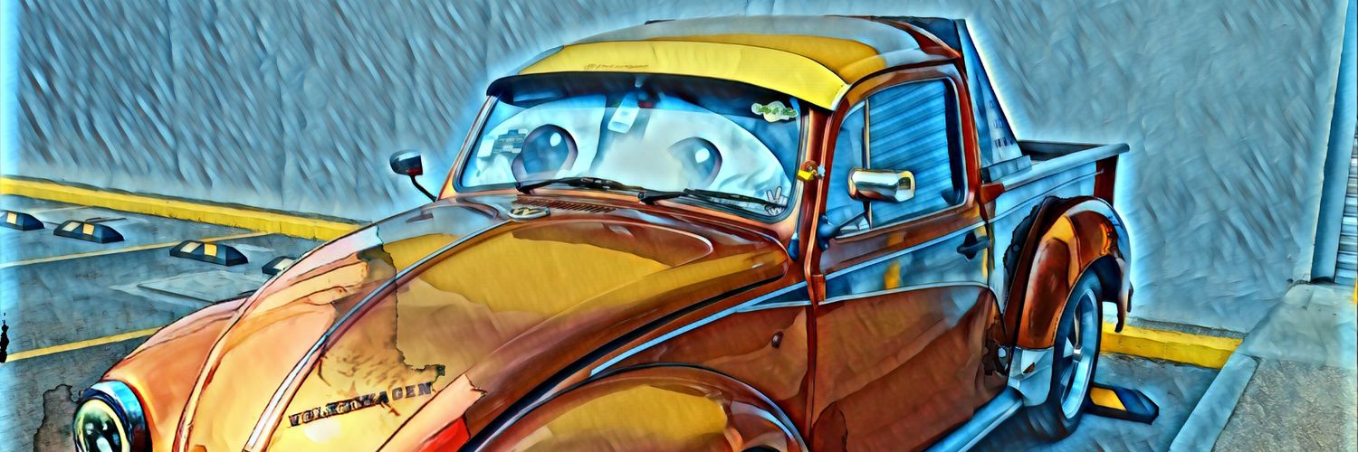 rahely78's profile banner image