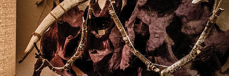 cosmic__bird's profile banner image