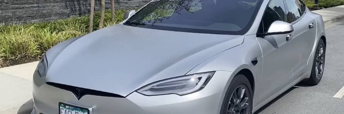 Peter P🇨🇦🦅 banner