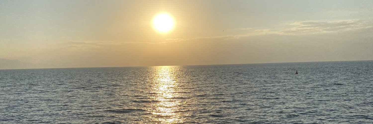 Leyla Çelik banner