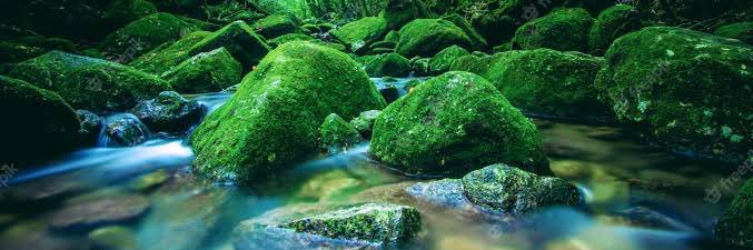 スピリチュアルつばさ@引き寄せの法則 banner