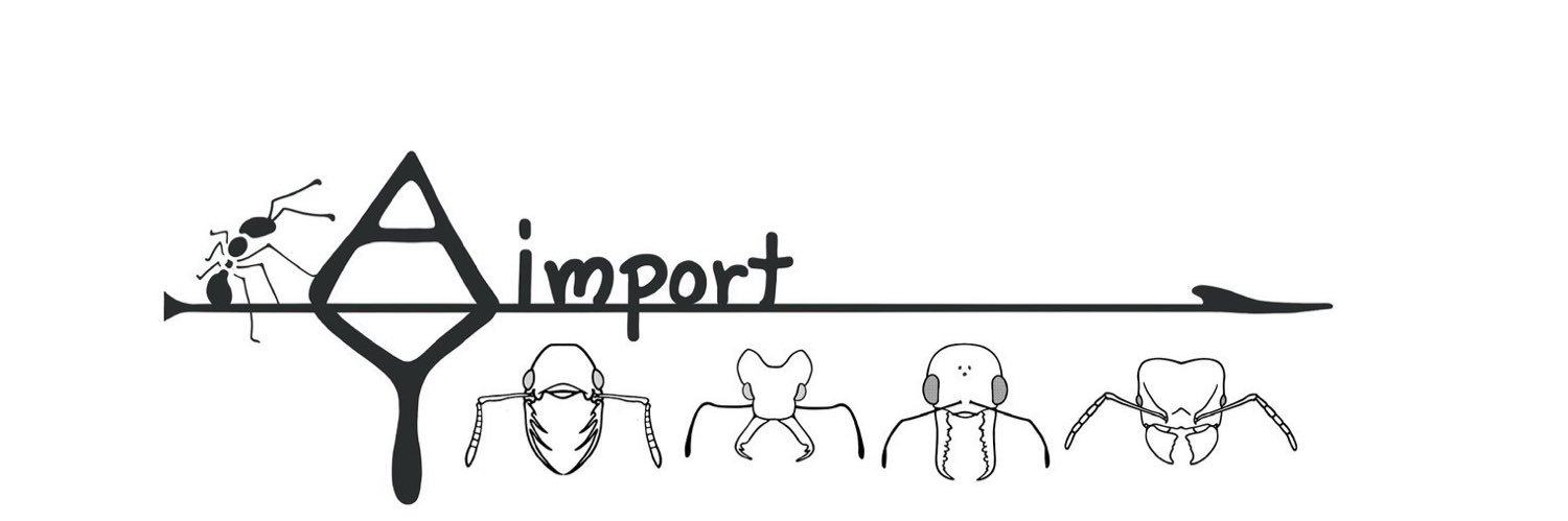 AYimport banner
