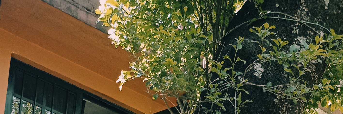 andres oddone banner