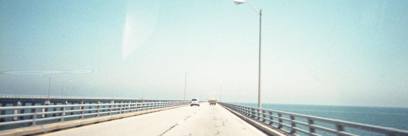 mayagorney's profile banner image