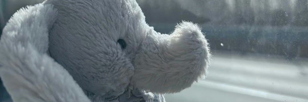 はかせかも banner