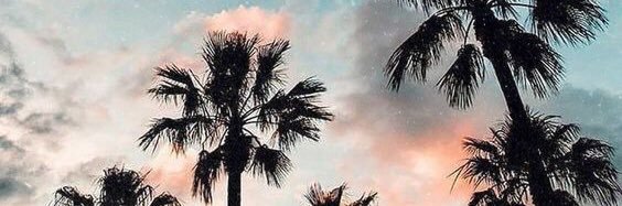 julia___costa's profile banner image