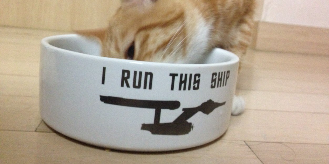 CatainKirk's profile banner image