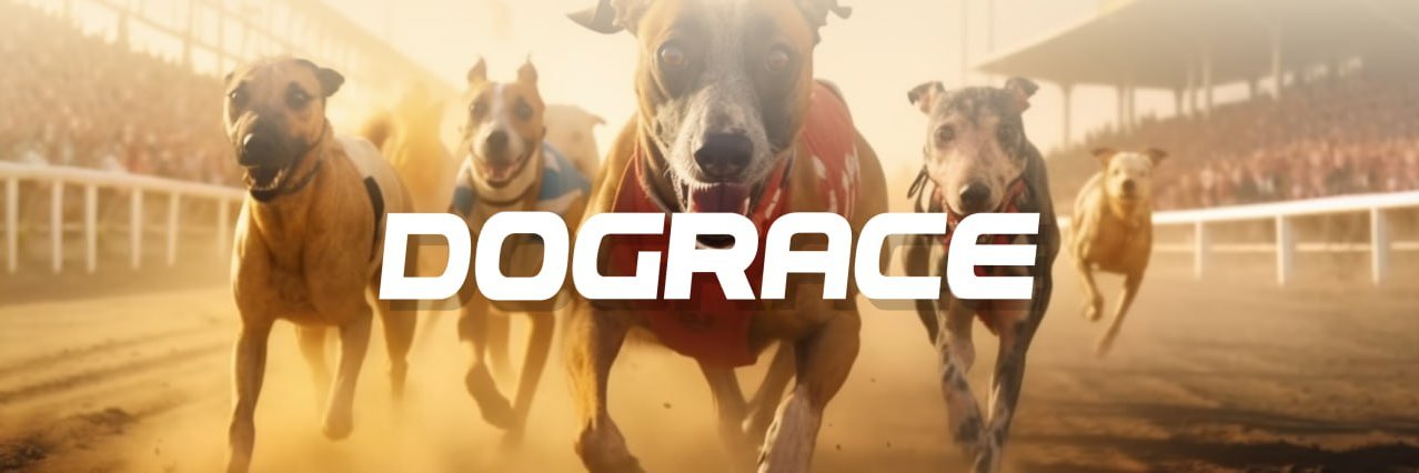 DogRace.GG banner