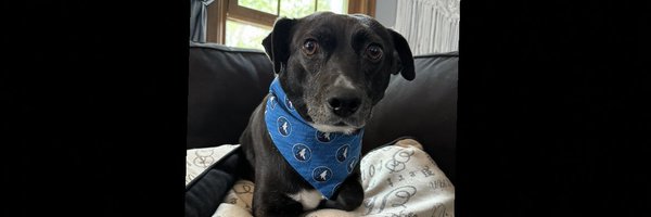 bianca101 Profile Banner