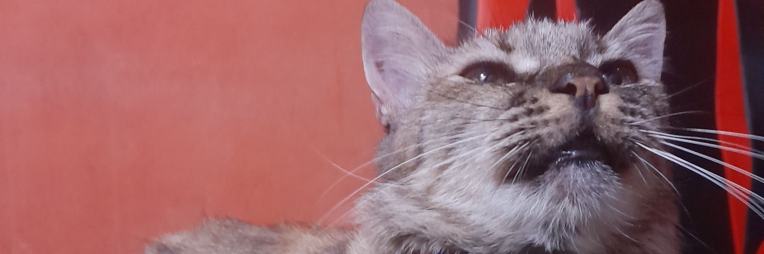 Maikelmy's profile banner image