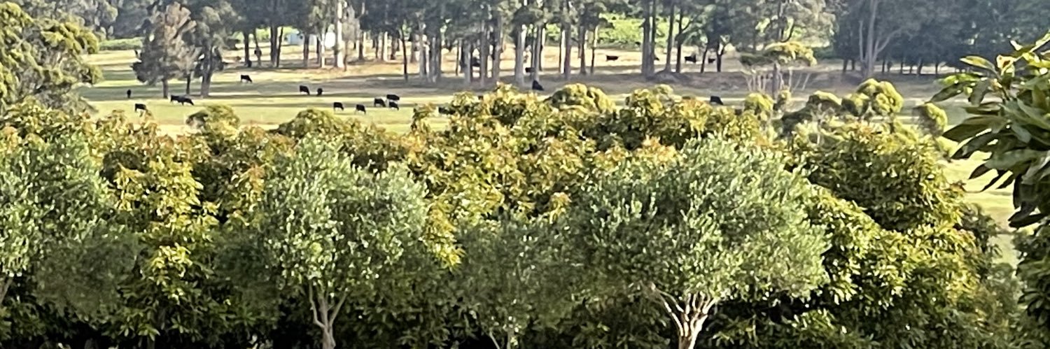 DaleSxpoodle's profile banner image
