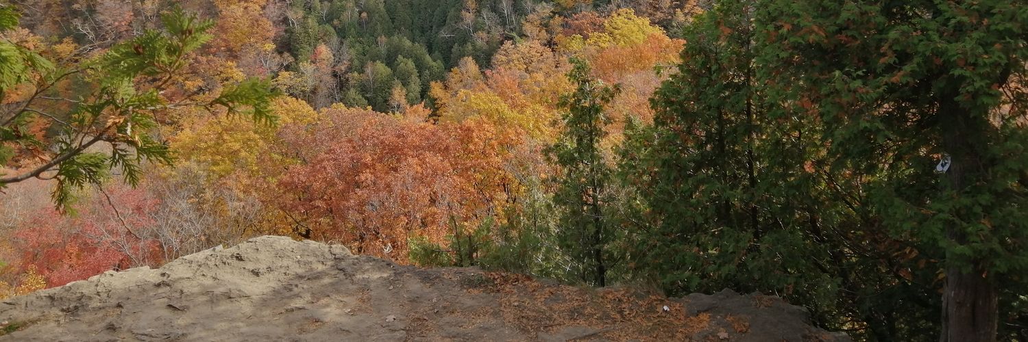 Sweet__Wolf's profile banner image