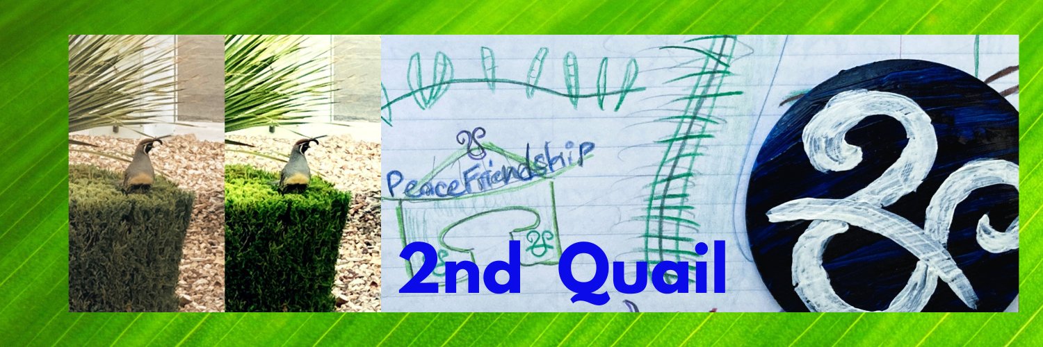 peacegeneral's profile banner image