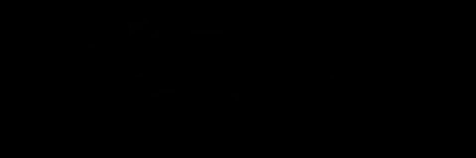 Nyra. banner