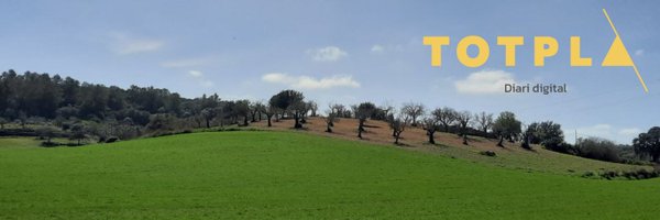 totplamallorca Profile Banner