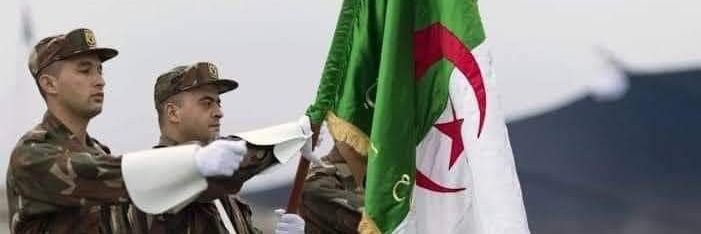 Numid Bouguerra banner