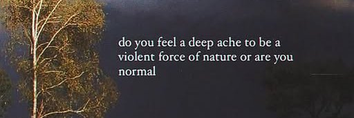 🏜️🪐🌈🎐Turn And Face The Tiger 🏜️🪐🌈🎐 banner