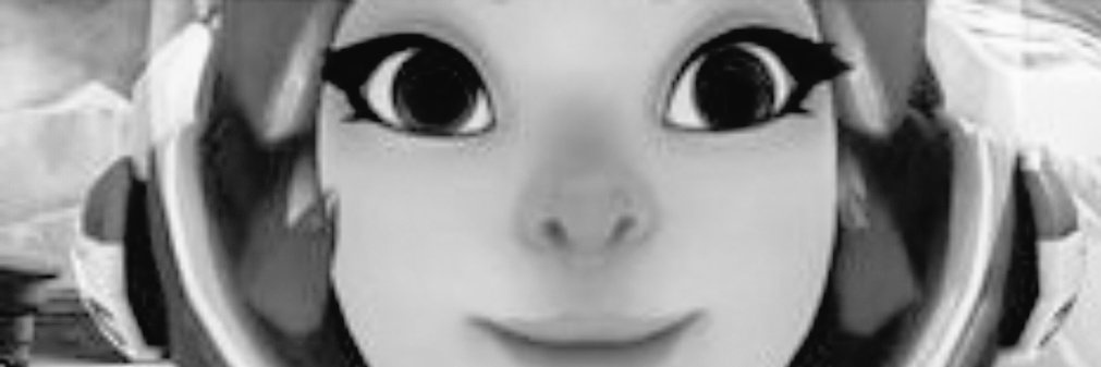 LEV banner