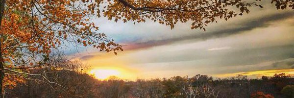 AnnakMerz Profile Banner