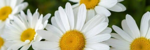 may_14212's profile banner image