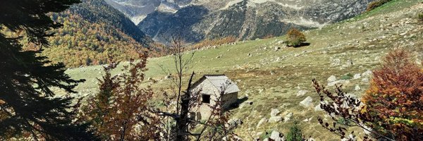 RuralUdl Profile Banner