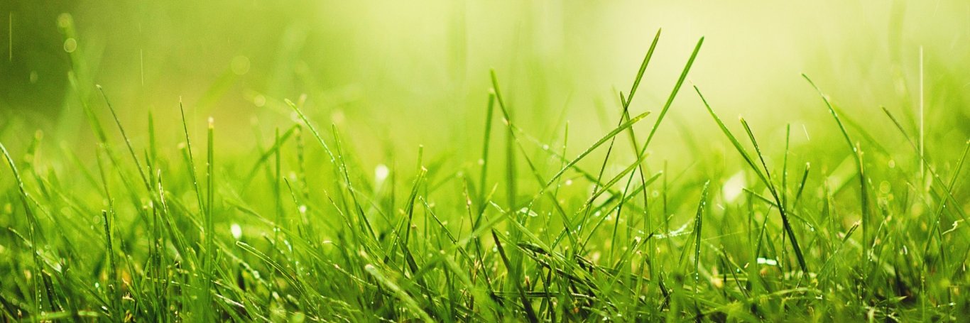 Schwesterchen banner